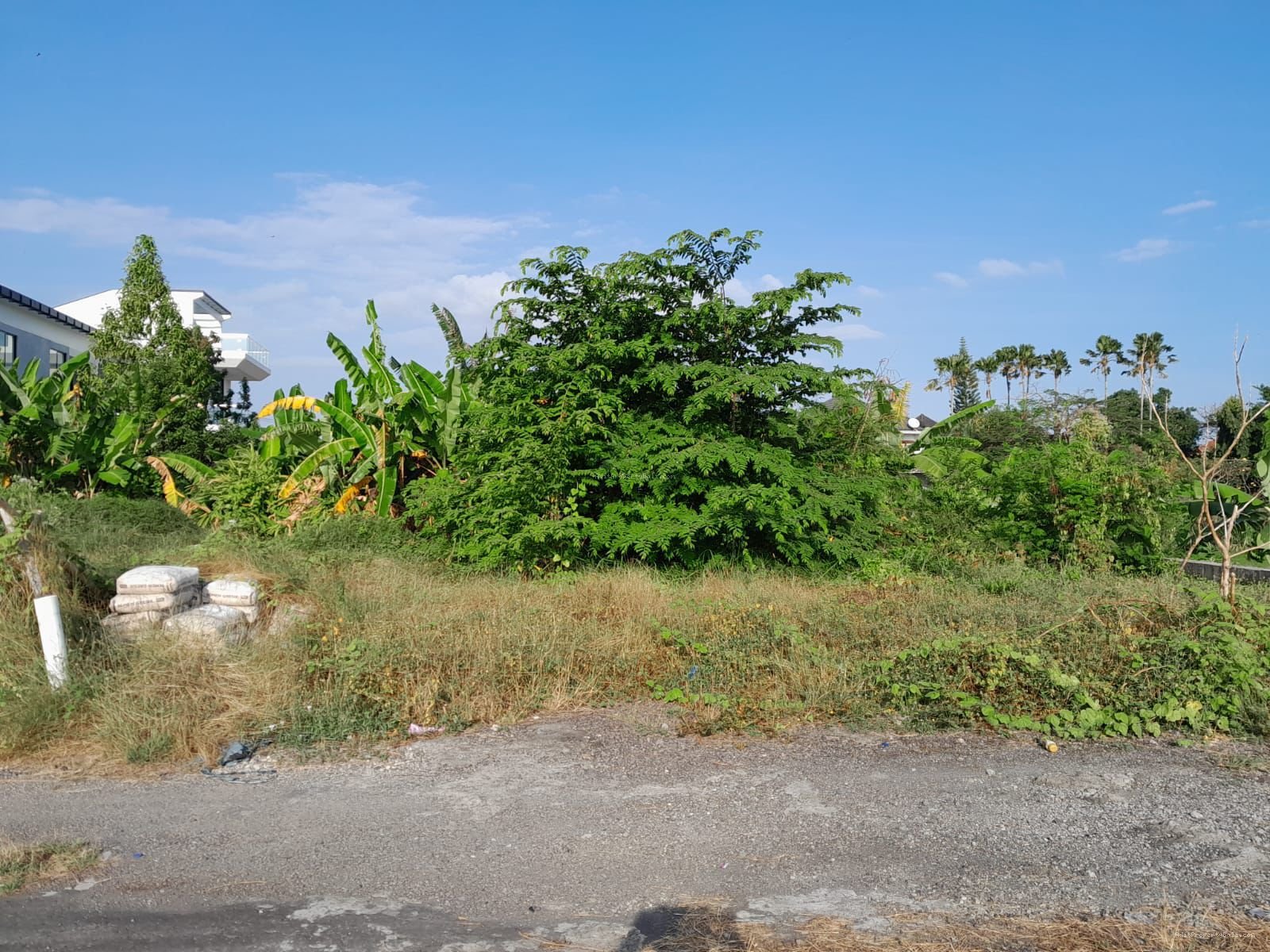 Tanah gunung salak kerobokan