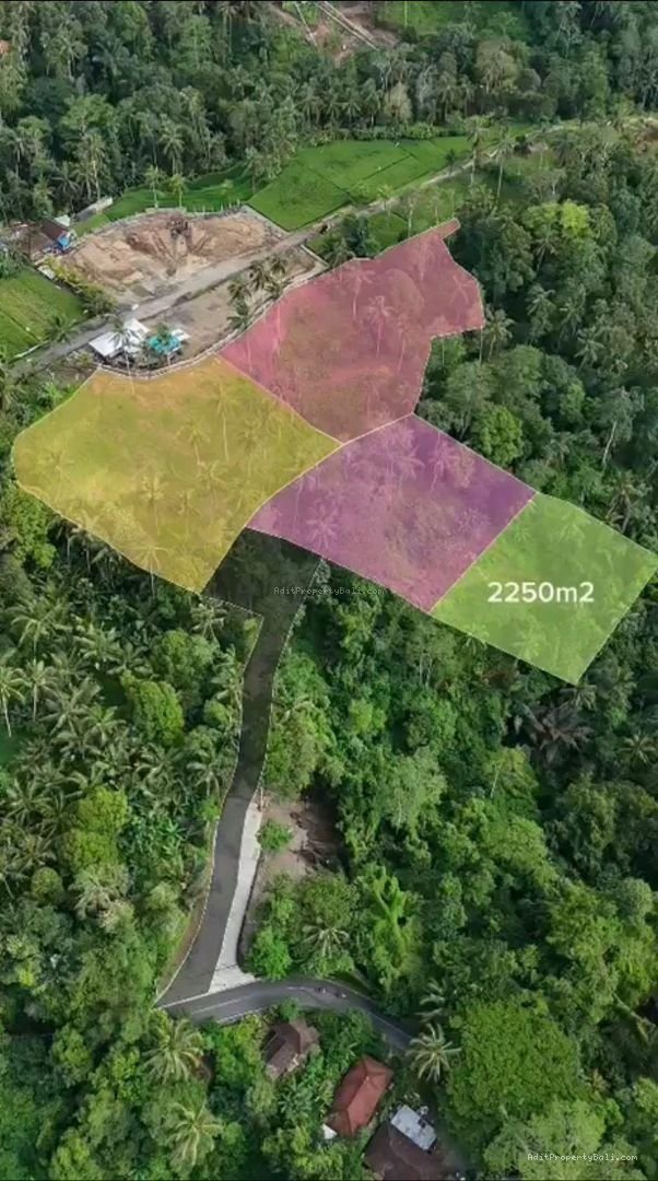 Tanah tegallalang ubud