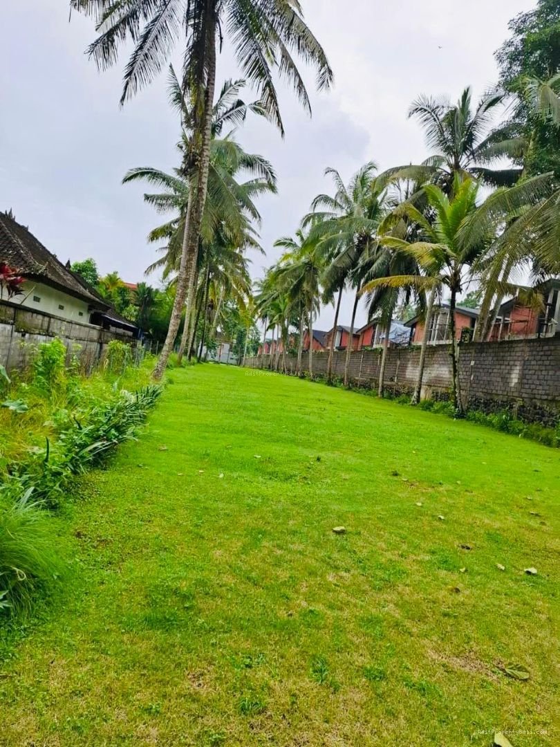 Tanah kedewatan ubud