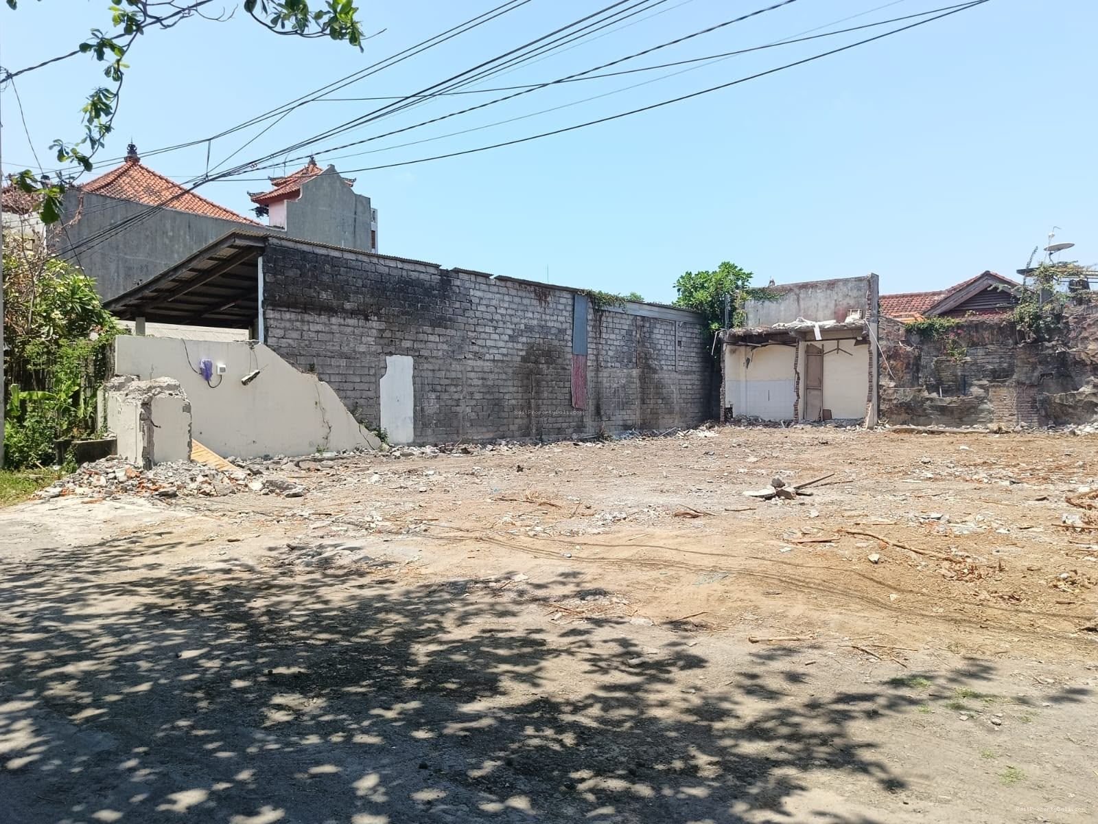 Tanah pemuda renon