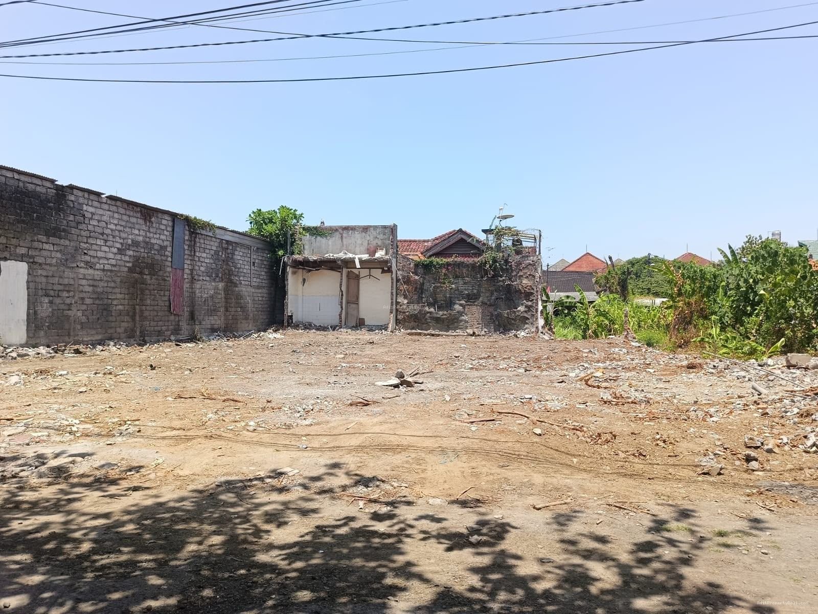 Tanah pemuda renon